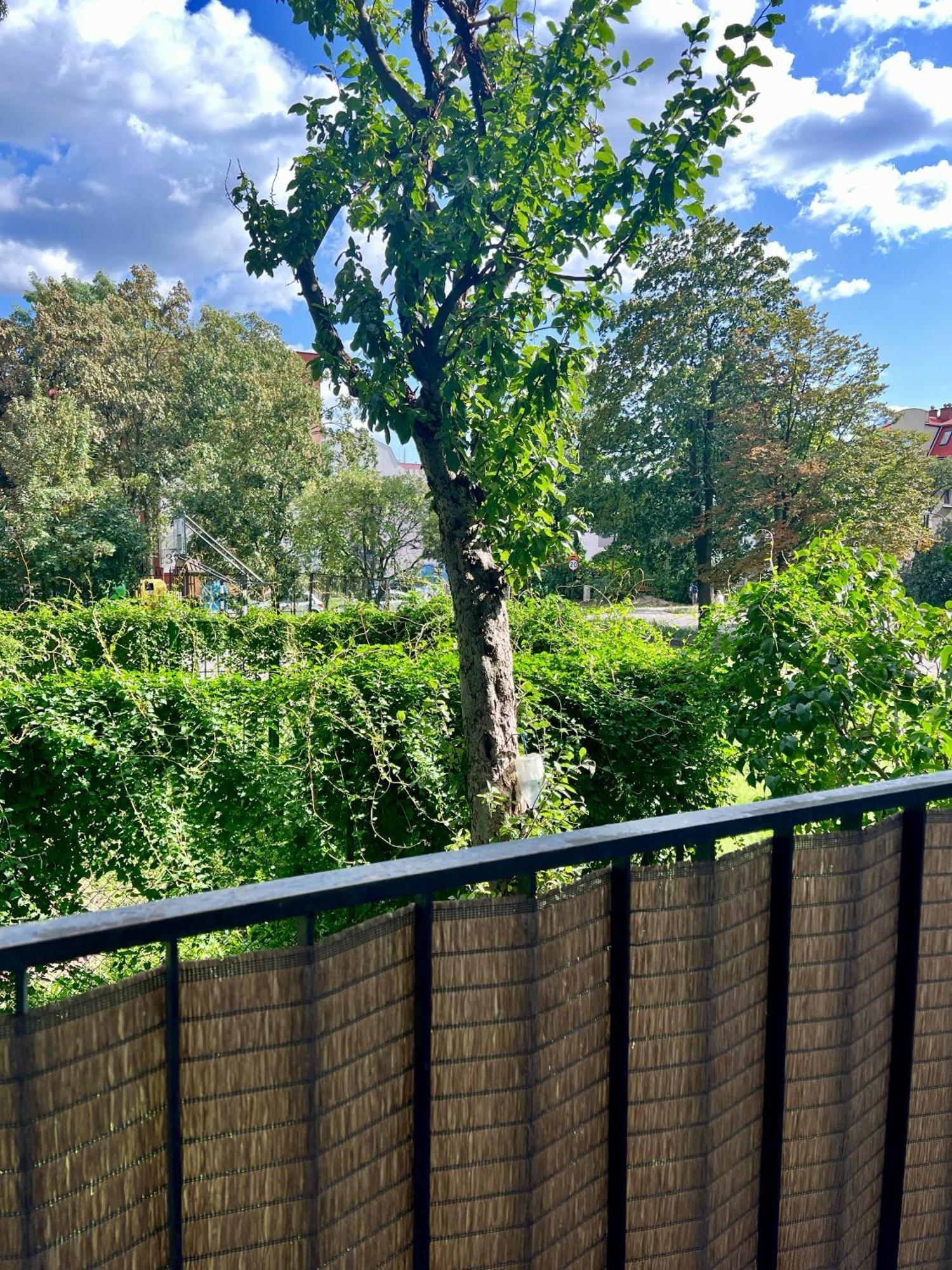 לודז' M&S Lux Apartments Kochanowskiego מראה חיצוני תמונה